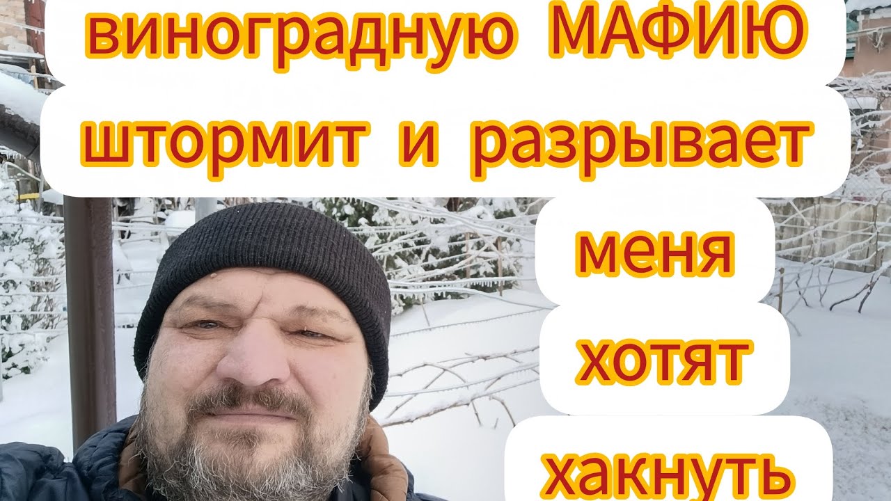 Виноградная МАФИЯ пытается хакнуть МОЙ КАНАЛ.