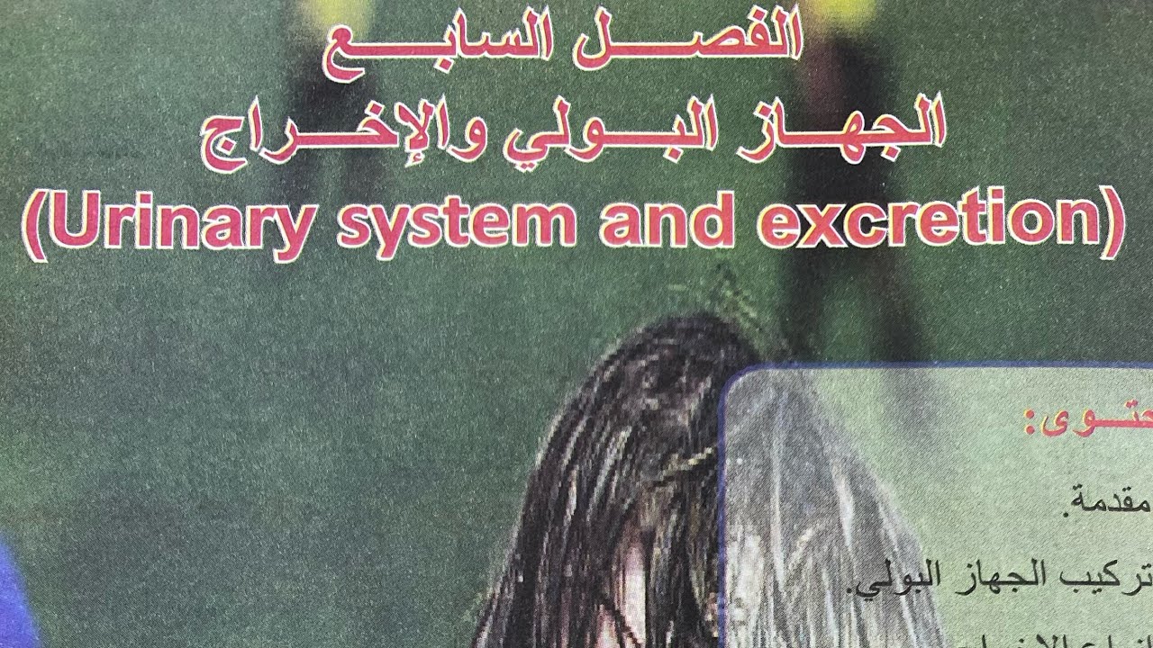 احياء الثالث المتوسط 2026 /الفصل السابع / الجهاز البولي والاخراج / المحاضرة 3 / مع حل اسئلة الفصل