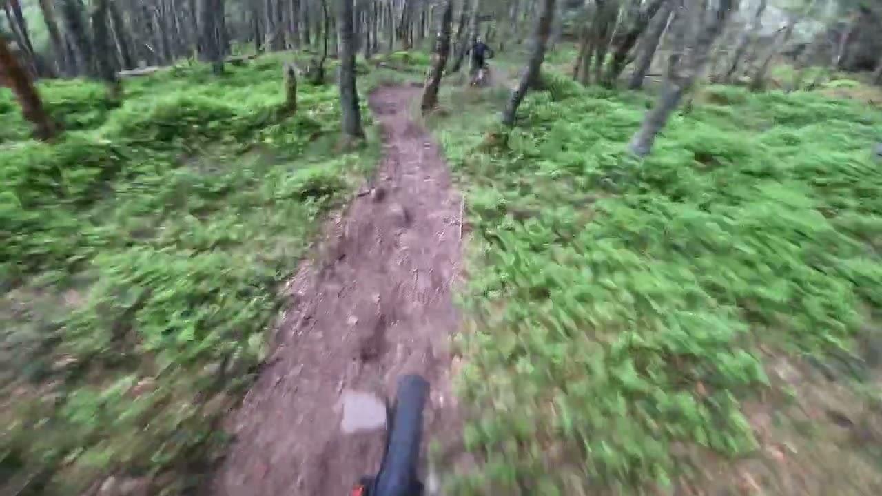 Scolty mtb