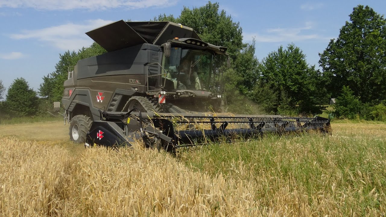 NEW COMBINE - MASSEY FERGUSON  IDEAL  8T, HARVEST  BARLEY / TATRA PHOENIX. ZD SKALKA JANKOV.