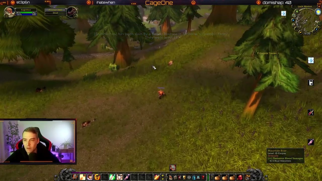 HC Priest v2 - 11 az 16 lvling chill.