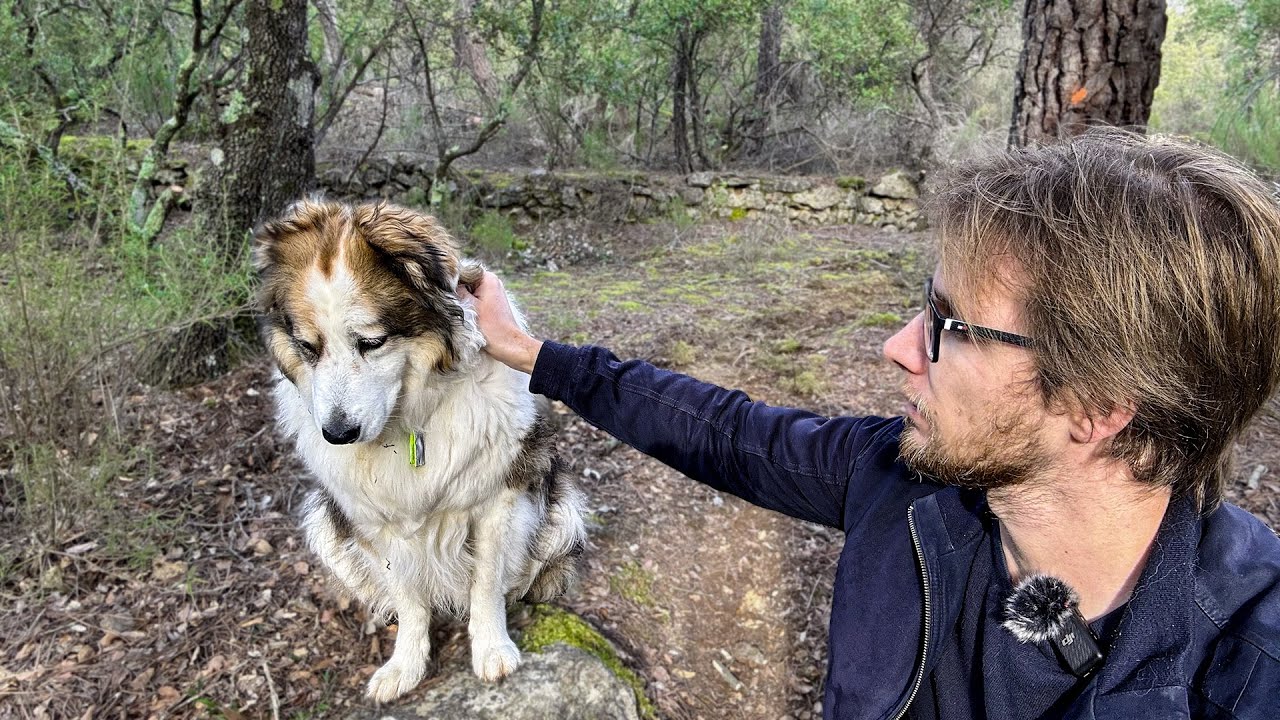 Je refuse d'avoir un chien dépendant