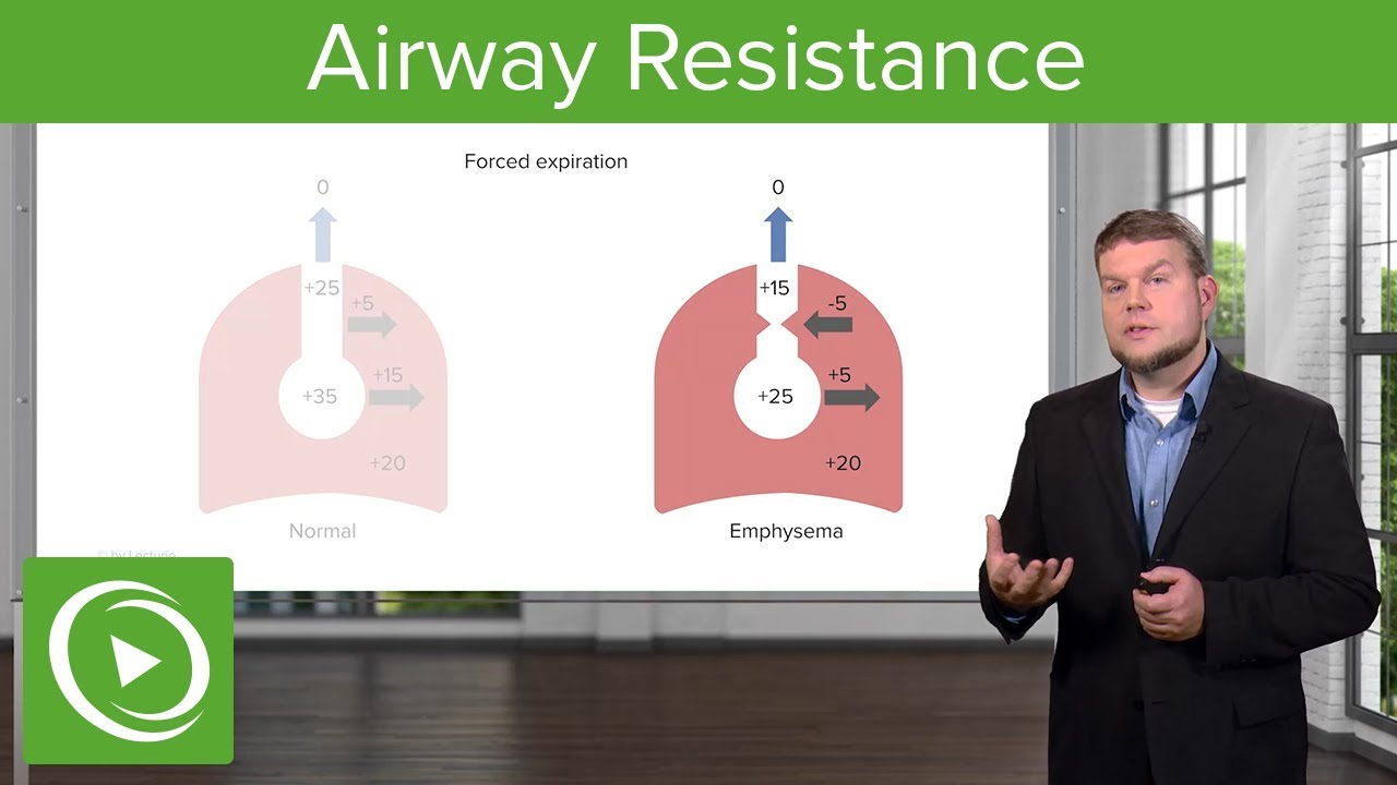 Airway Resistance:  Breathing and Lung Mechanics – Physiology | Lecturio