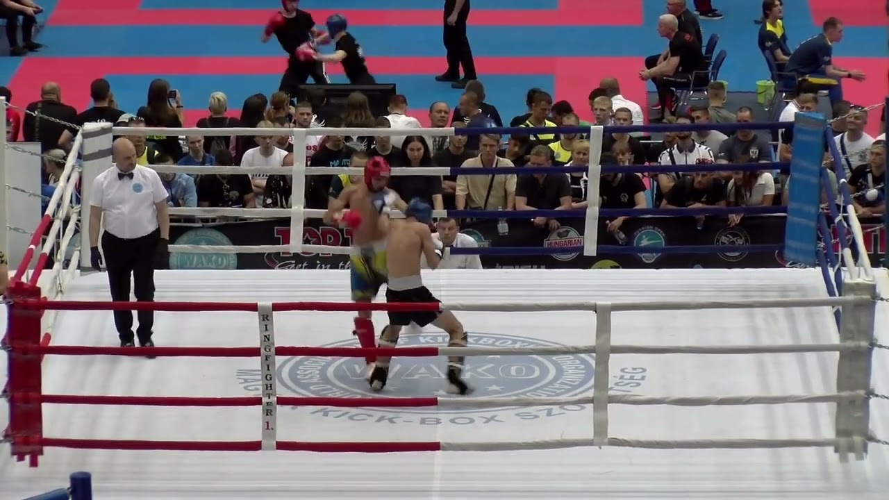 MAZUR HLIB UKR v  SEJDIJA DAMIR SRB Hungarian Kickboxing World Cup 2023