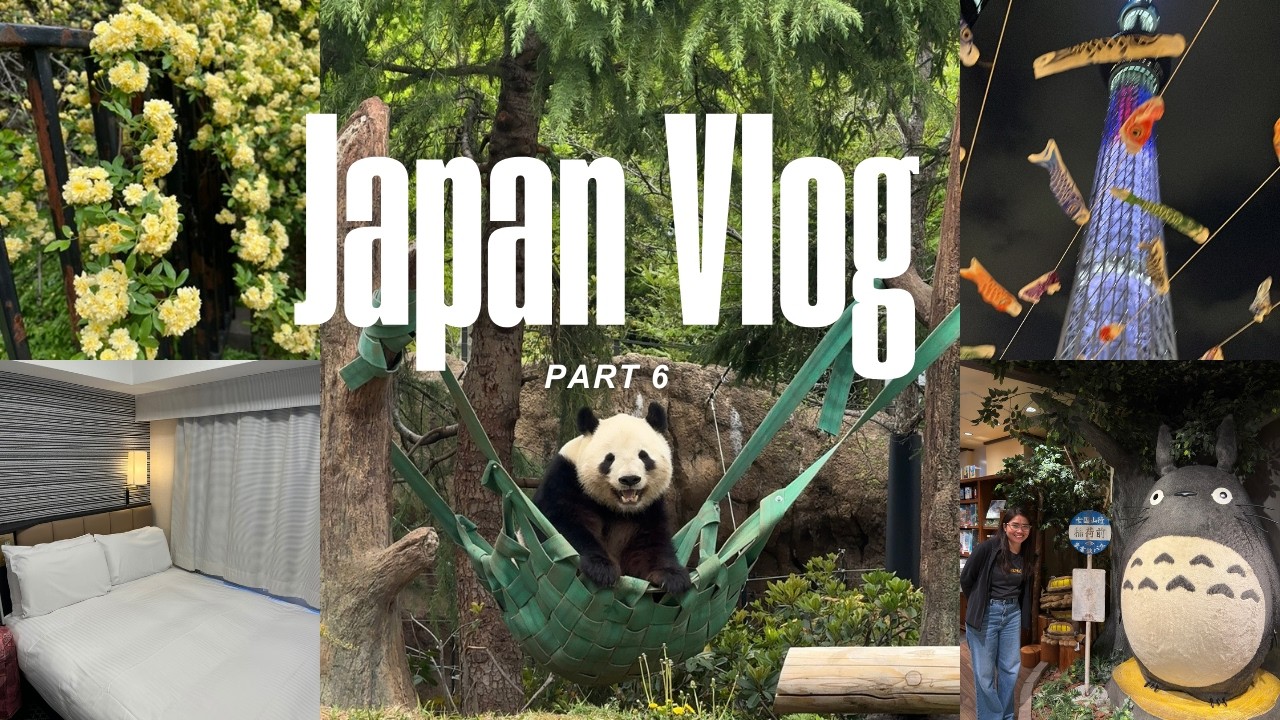 Japan Vlog Part 6: Ueno Zoo, Studio Ghibli & APA Hotel Keisei Ueno-Ekimae Room Tour | syndayvlogs