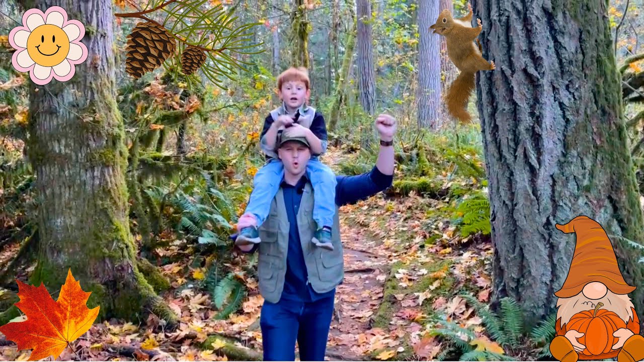 Explore The Woods, Climb Trees & Autumn Leaves