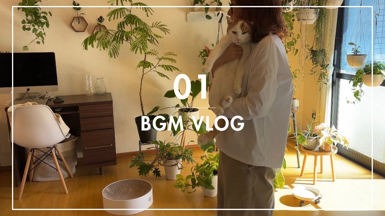 #18 日向ぼっこの朝。みーちゃんと観葉植物と☀️｜BGM vlogA sunny morning with houseplants and my cat ☀️ | BGM vlog