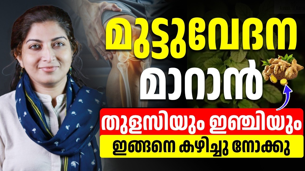 തുളസിയും ഇഞ്ചിയുംഇങ്ങനെ കഴിച്ചു നോക്കു മുട്ട് വേദന ഇനി ജീവിതത്തിൽ വരില്ല