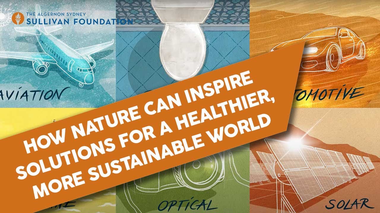 How Nature Can Inspire Solutions for a Healthier, More Sustainable World // Ignite Masterclass