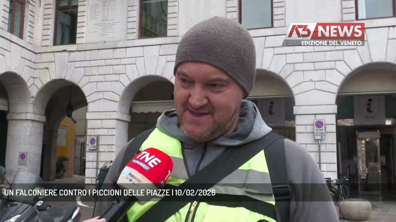 UN FALCONIERE CONTRO I PICCIONI DELLE PIAZZE | 10/02/2026