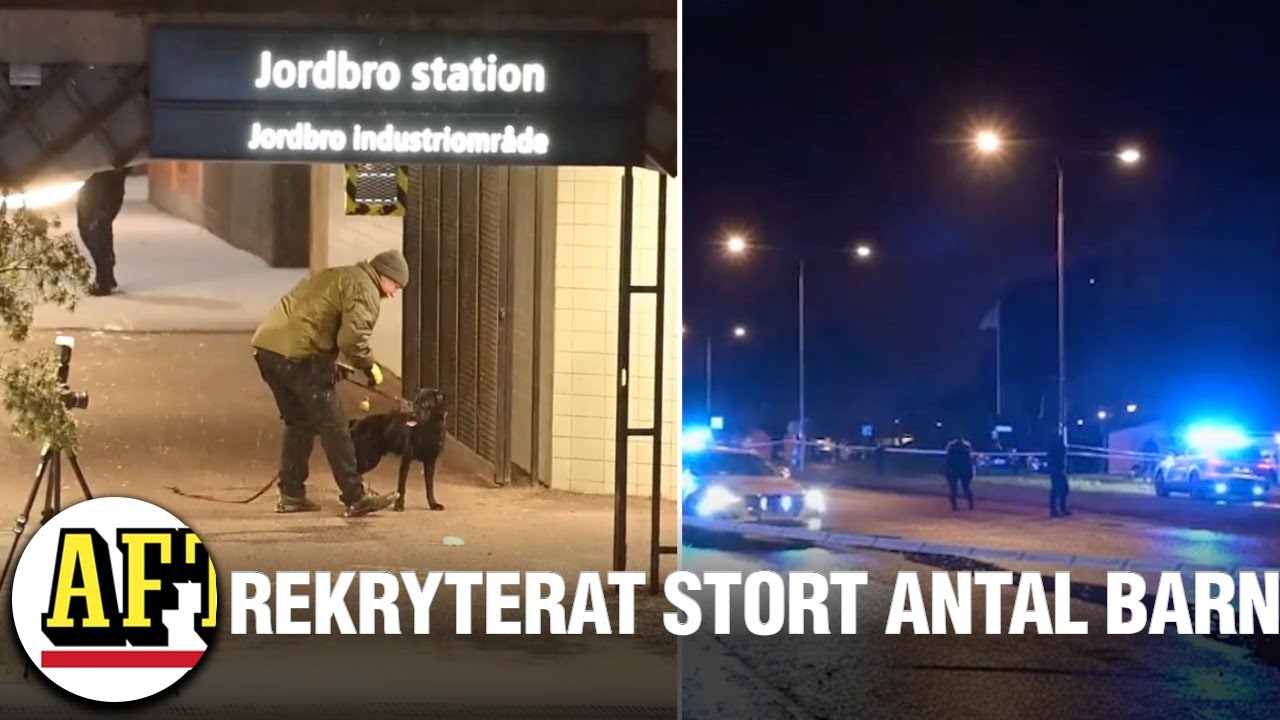 Polisen i Jordbro: ”Gängen behöver inte rekrytera – barnen står i kö”