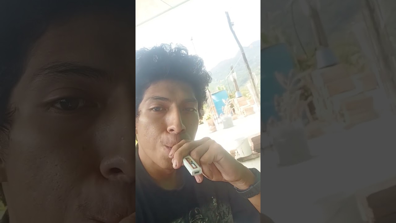 Wax Pen Mexico Guerrero.