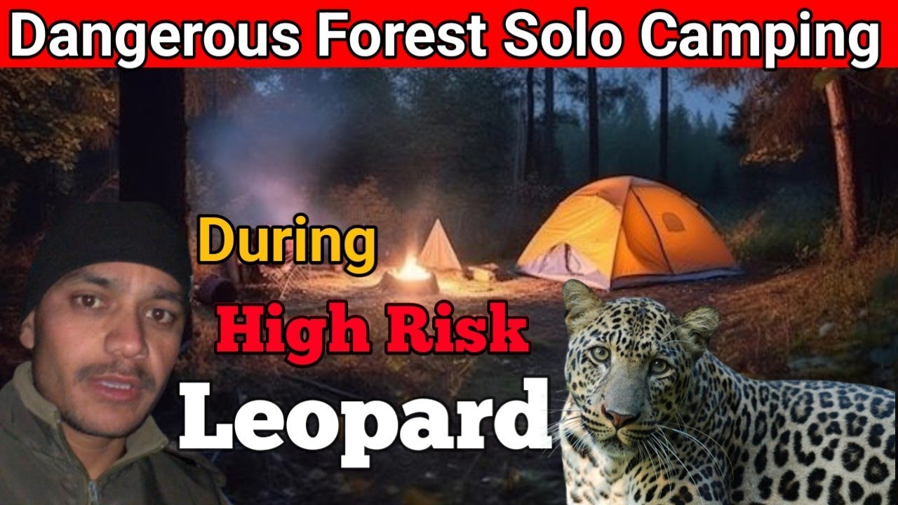 Solo Night camping 🏕️ 31st Night party 🌉 #dailyvlog #nightlife #camping #party #solocamping #leopard