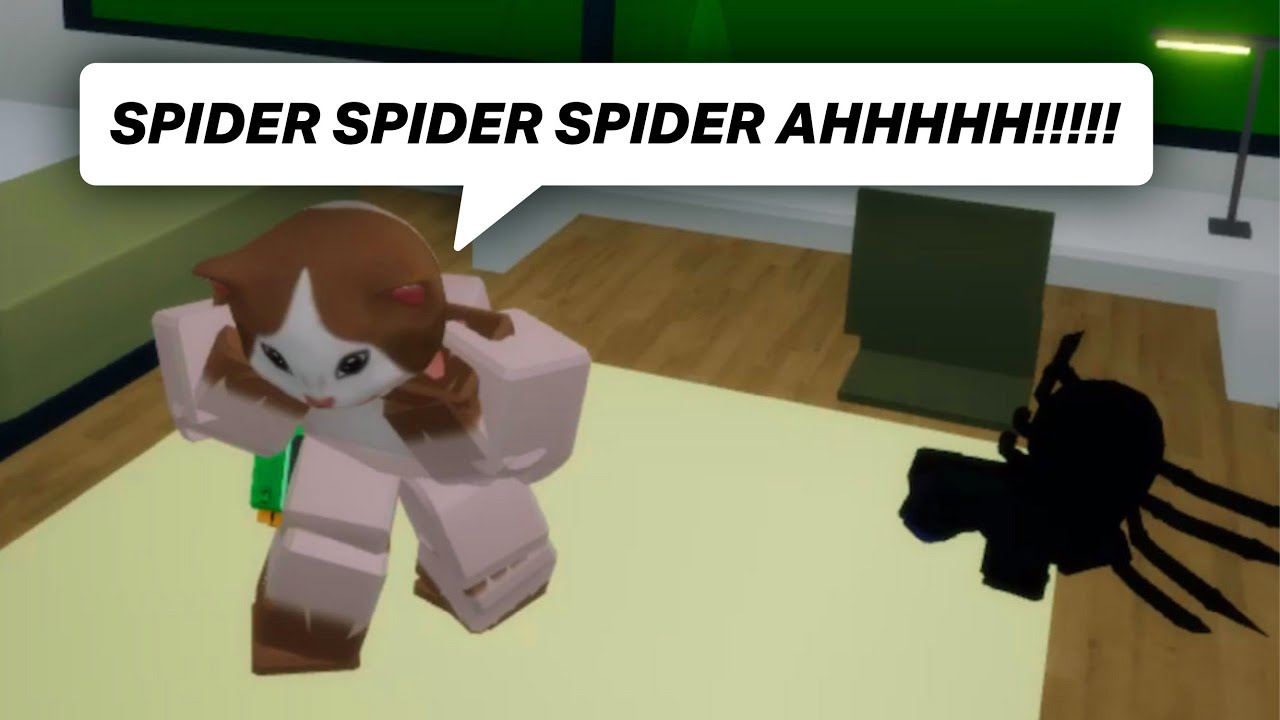 I DO NOT UNDERSTAND HOW PEOPLE ARE NOT AFRAID OF SPIDERS 😂 (meme)