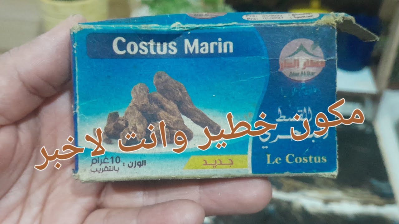 هجم عليك الشيب عييتي ماديري بلافايدة 😭💥اقوى مكون خطير في اسبوع ورديلي الخبر الا مانفعتكش الغي .