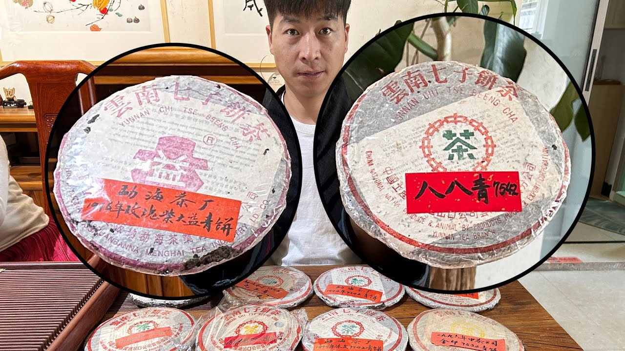 普洱老茶数字茶：88青饼 7542 7342 8582 #普洱茶#古樹茶 #老班章 #古樹茶#茶#茶葉#茶葉#古樹茶喝茶必求真。