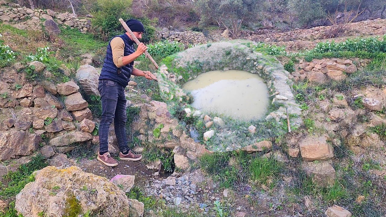 شاهد السقاية المزرعة الجلبان والبصل البلدي بطريقة تقليدية في دوار اوحواحيان 