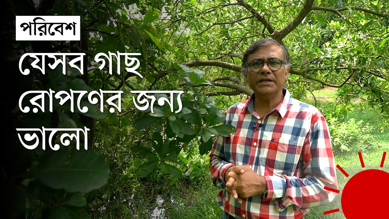 গাছ লাগাতে গেলে যেসব বিষয় মাথায় রাখা উচিত | Tree Plantation Tips | Azharul Islam | Prothom Alo