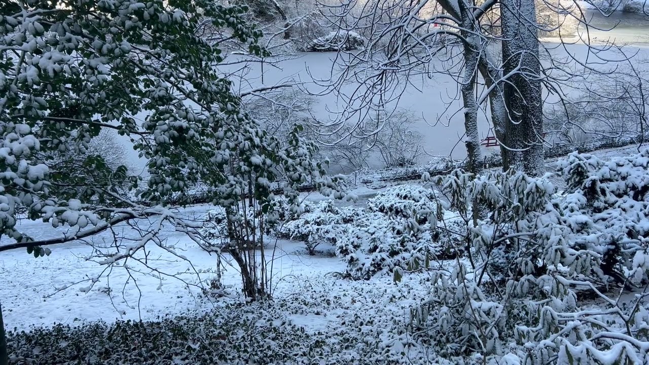 Peaceful Winter Morning by the River | Snowy Nature Ambience