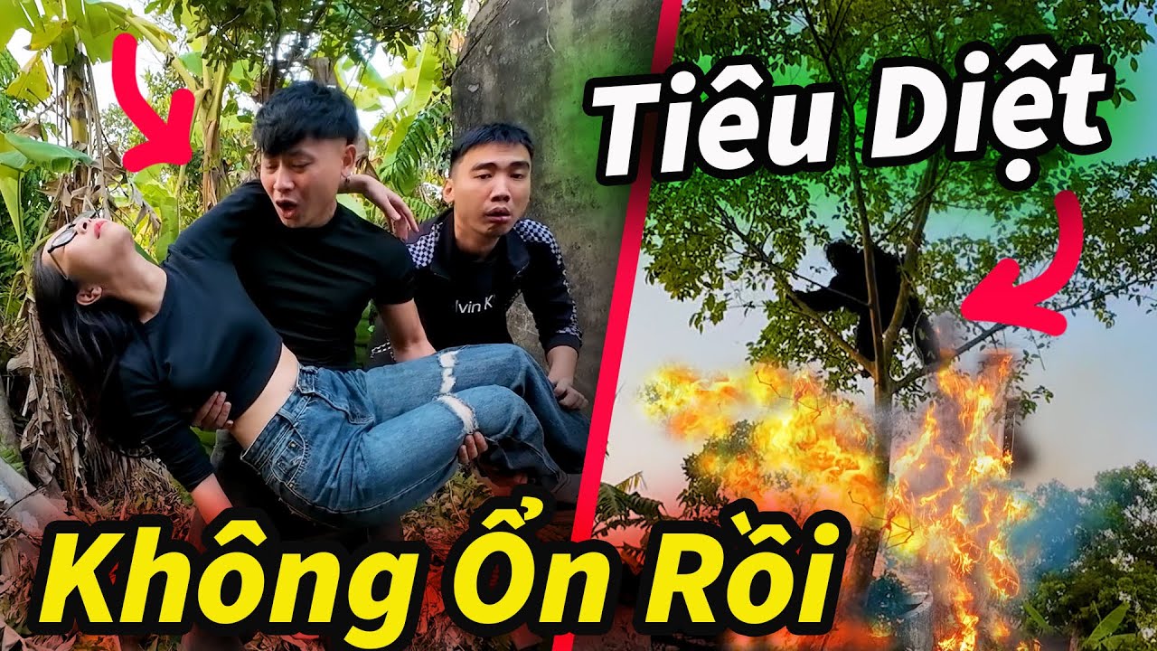 Hậu Cáo Tiêu Diệt Vật Thể Lạ Không Thèm Nuôi