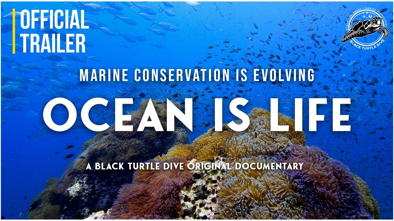 OCEAN IS LIFE | Official Trailer | Marine Conservation Short Documentary | Filmed on Koh Tao