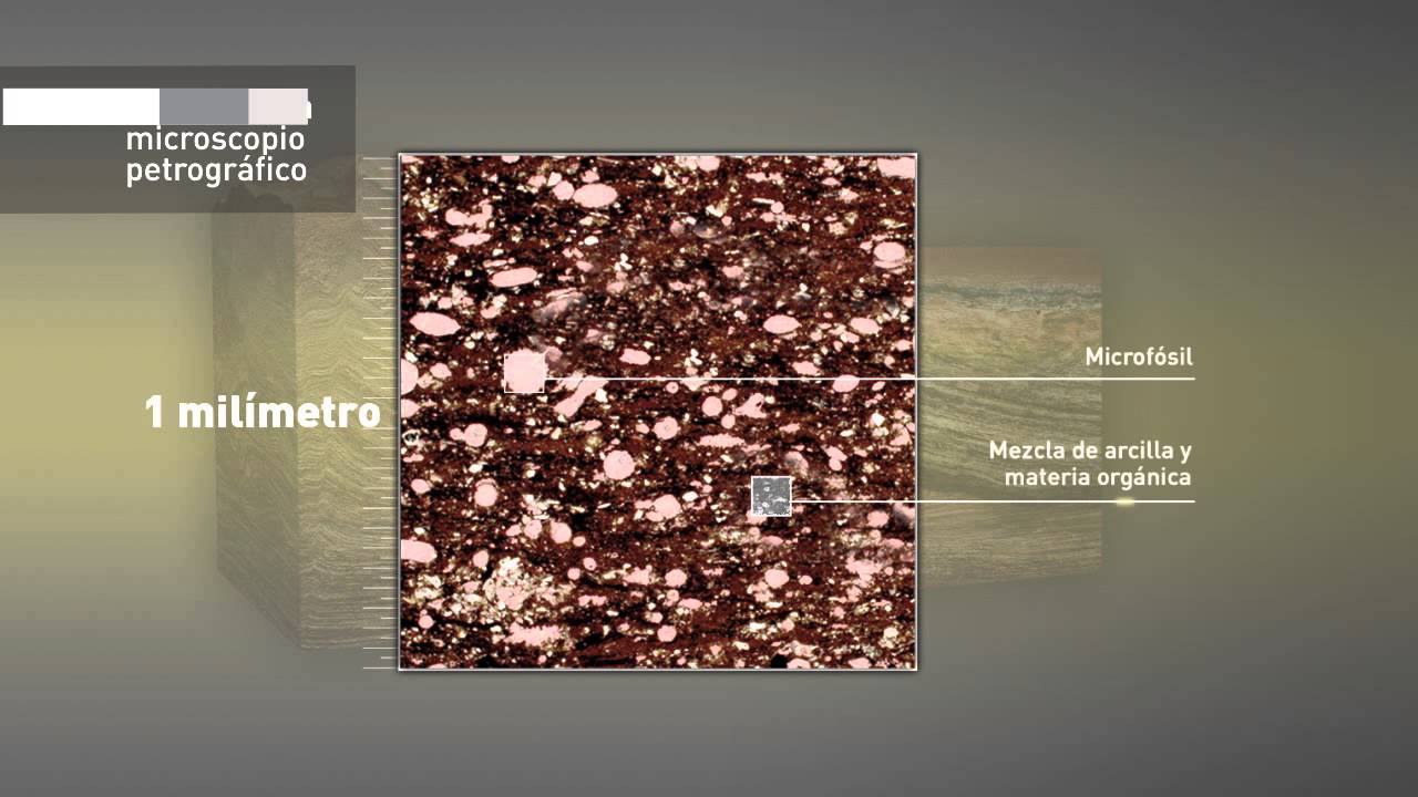 C&oacute;mo es el reservorio Shale en Vaca Muerta