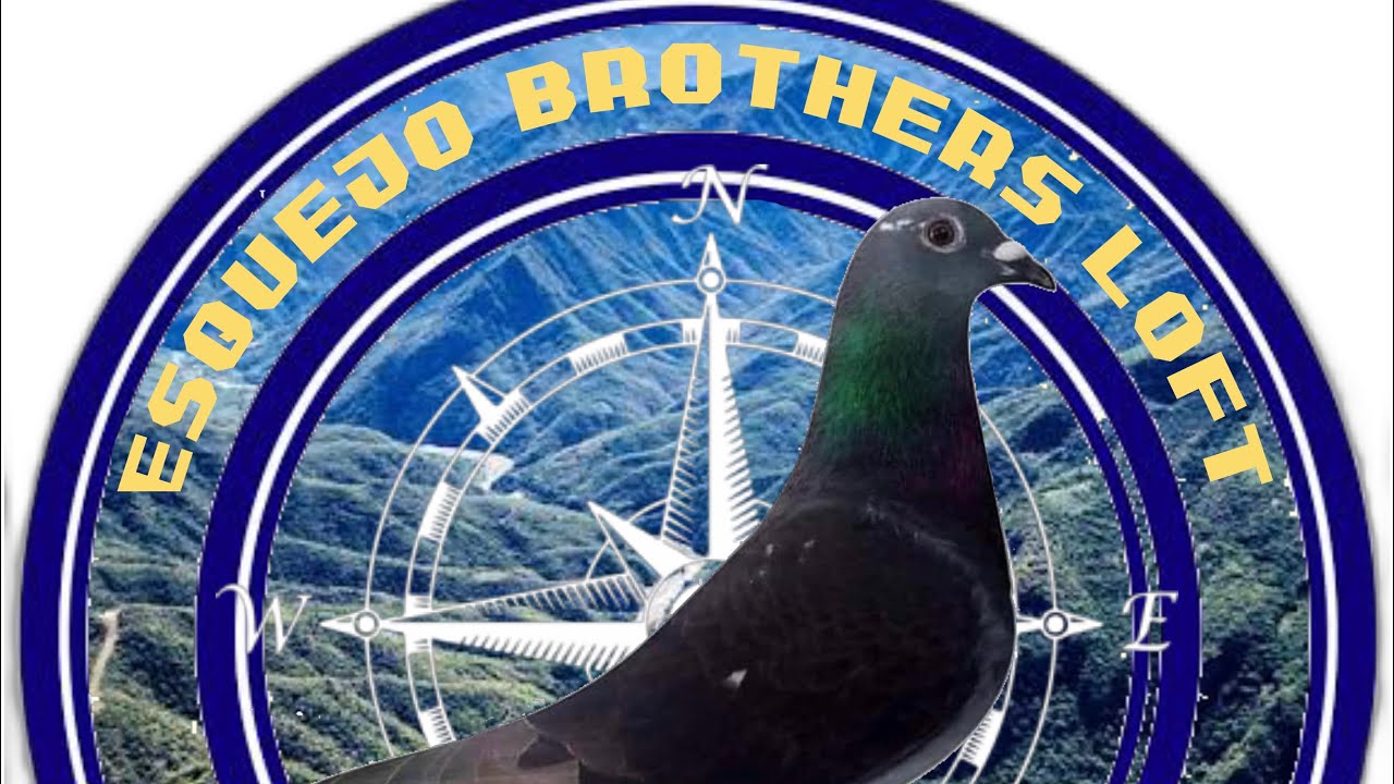 South Derby Race 2023