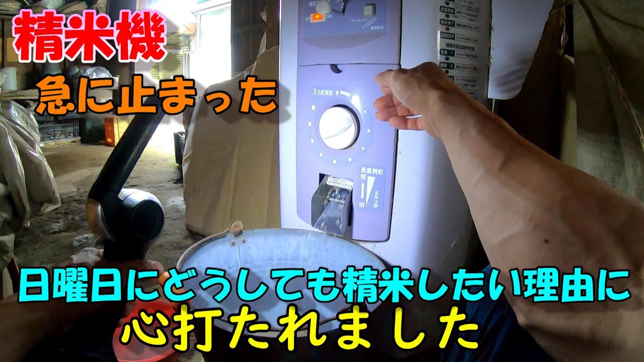 どうしても今日、精米したい!!!日曜日だけど来て欲しい。。。「修理に行って良かった！」と思えた理由とは!?!?お米を実家から貰う方たち見てほしい。