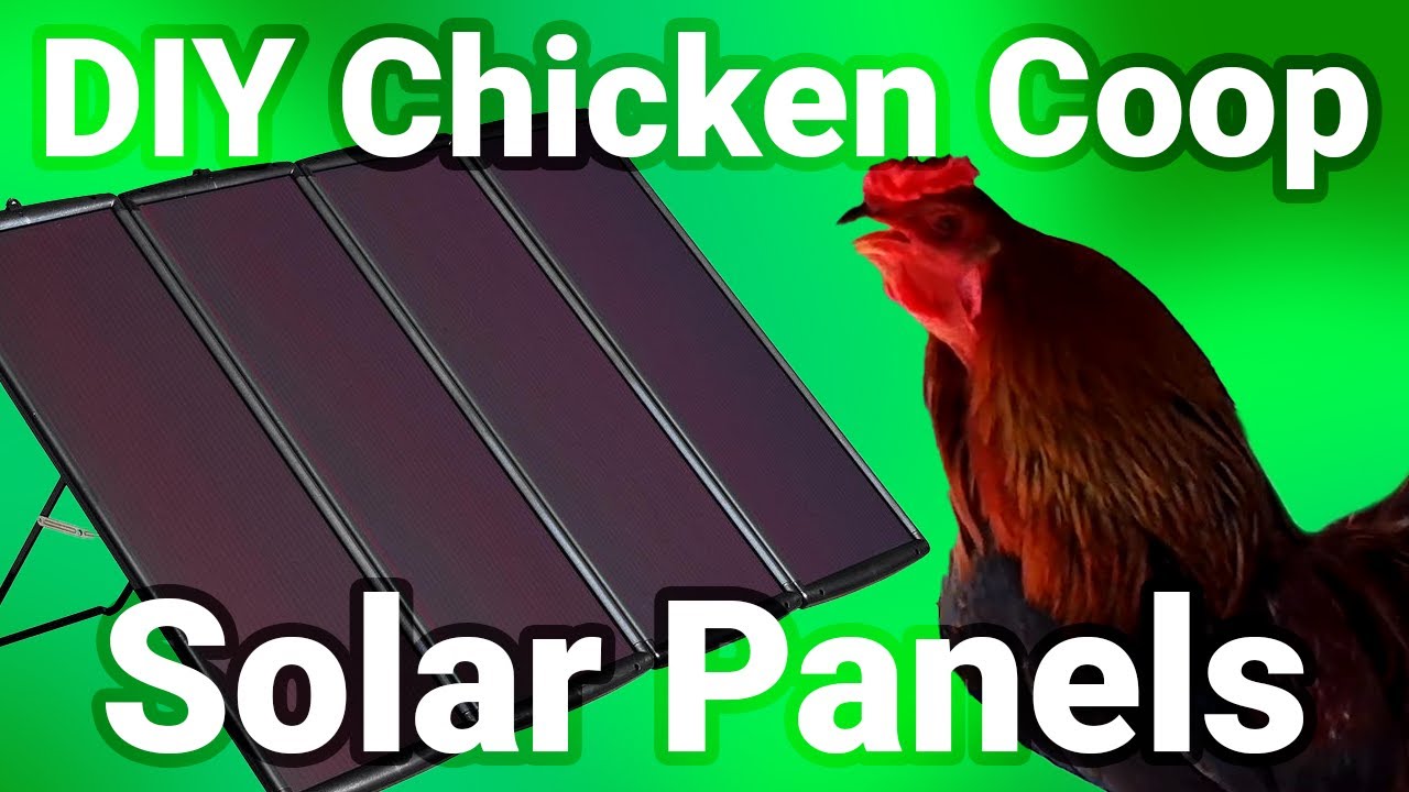 Green Energy for Your Homestead: Solar Panel Setup on a Chicken Coop!