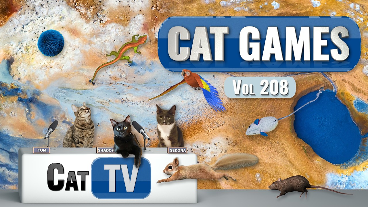 Игры с котами | Подборка лучших кошачьих телепередач, том 208 | 8 часов 🐝🐞🦋🦎🦜🐜🐭🧵