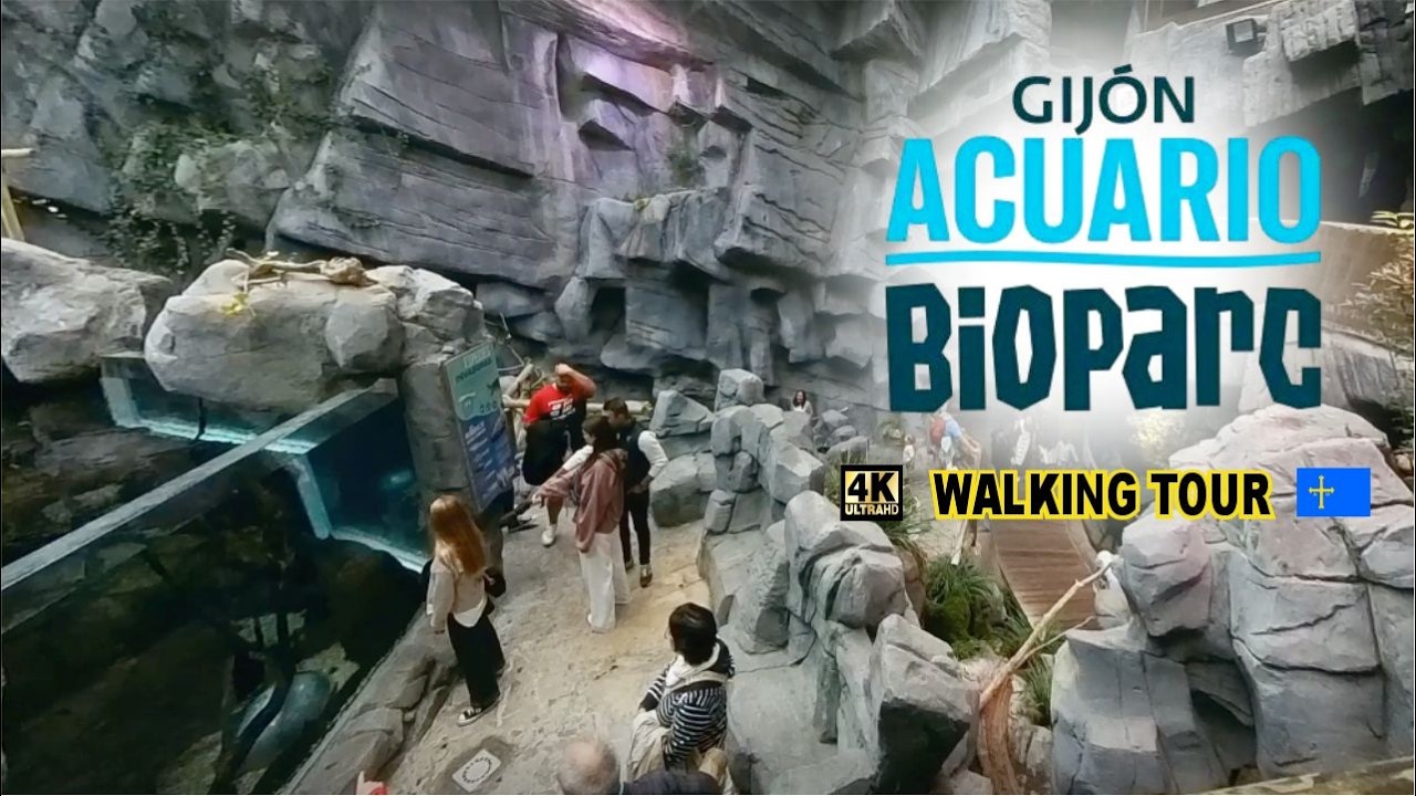 BIOPARC ACUARIO DE GIJÓN 🐠 en Asturias #walkingtour