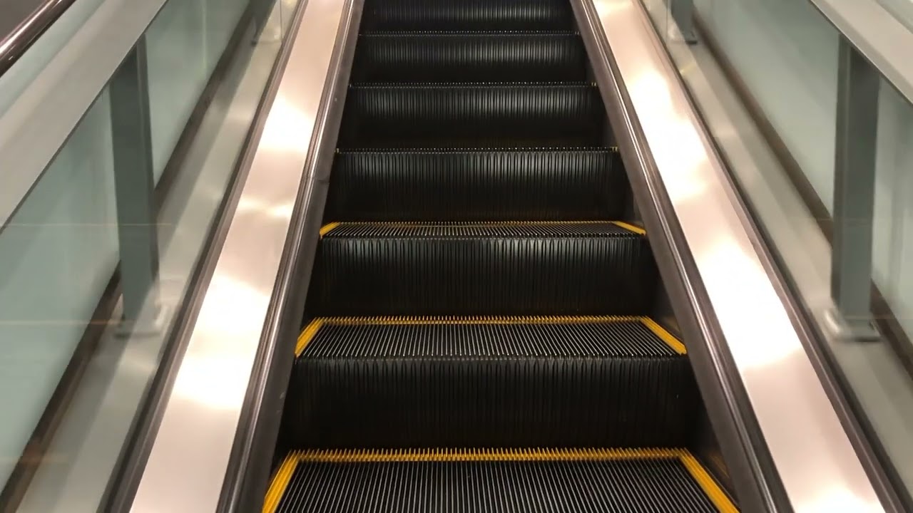 Schindler Escalator at Ron Jon Surf Shop - Disney Springs - Lake Buena Vista, FL