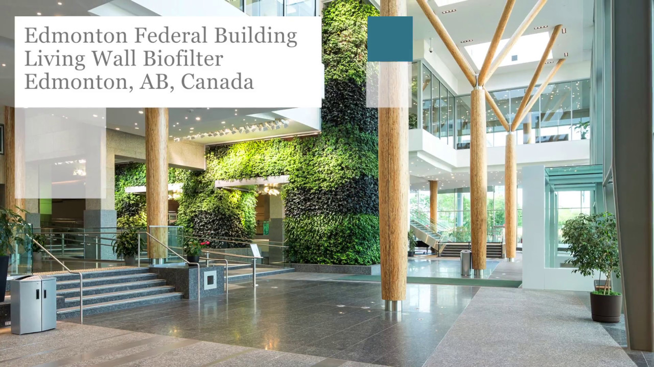 Edmonton Federal Building Living Wall Biofilter - Project of the Week 5/15/17