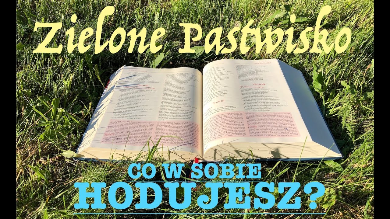 Zielone Pastwisko 30.01.2026 „CO W SOBIE HODUJESZ?” Sm 11, 1-4a. 5-10a.13-17; Mk 4, 26-34 - o. Piotr