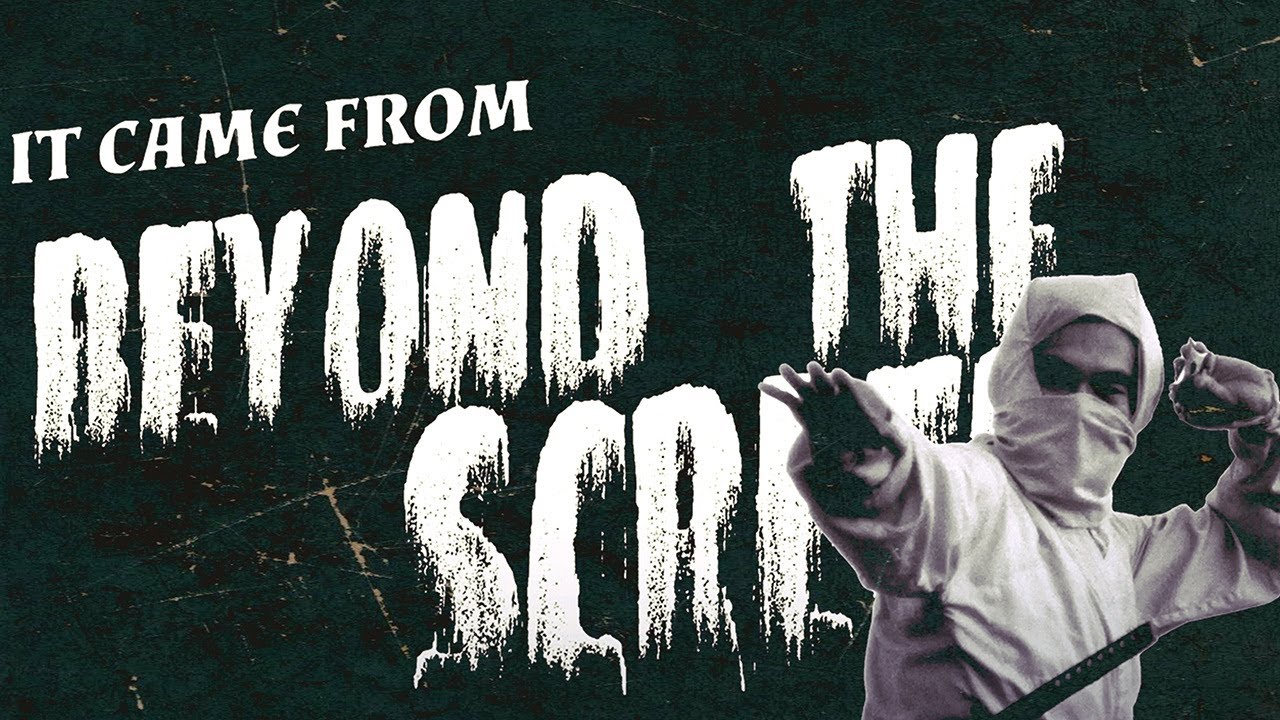 Нью-Йоркский ниндзя New York Ninja