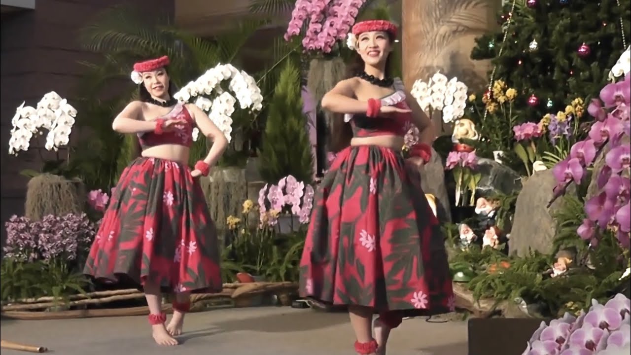 '16 カプアウイ Ka Pua U'i フラガール フラダンス Hula Dance スパリゾートハワイアンズダンシングチーム Hula Girls オーキッドフラショー