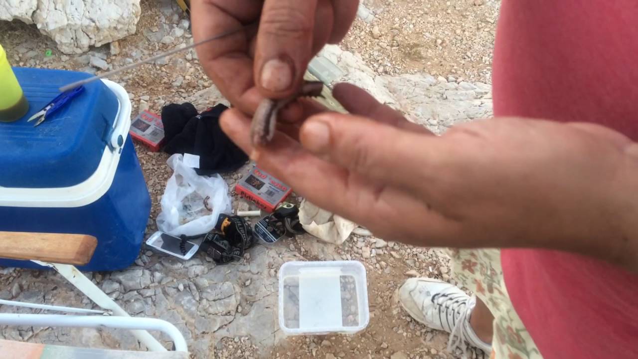 ΤΡΟΠΟΣ ΔΟΛΩΣΗΣ ΦΑΡΑΩ