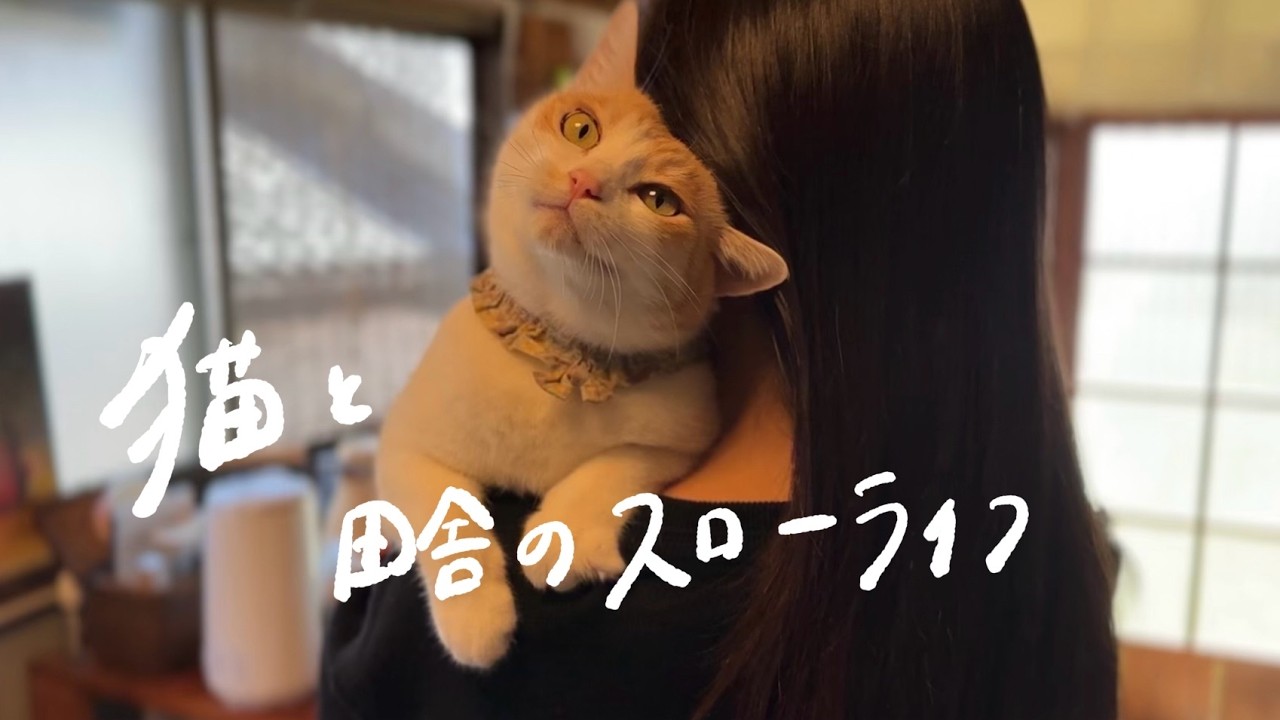 #14 猫と田舎のスローライフ -  A Peaceful Day in Old Country House｜田舎のスローライフ #cat #vlog #slowlife #vlog #cat　古民家