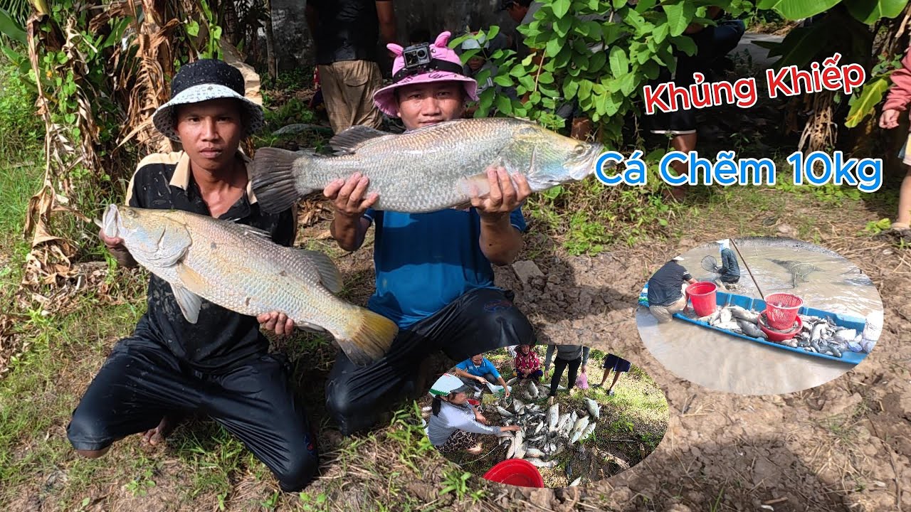 Một ngày đi thuốc cá vuông Tôm cùng bà con Bạc Liêu