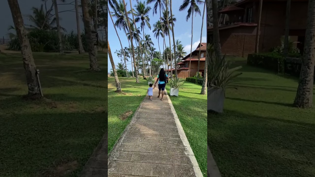 Dayout 🔥❤️ #hotel #srilanka #travel