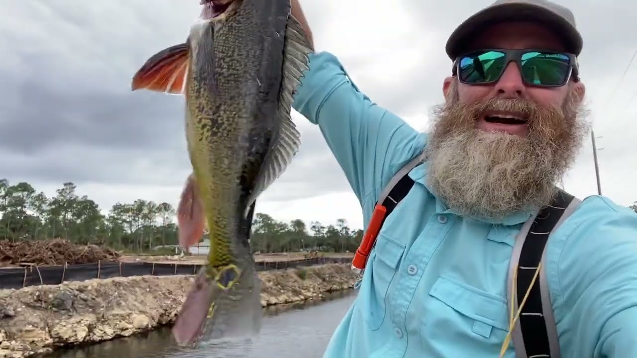 Fakahatchee and Big Cypress Fishing