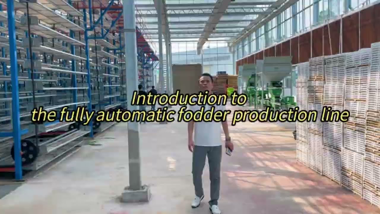 Lyine Automatically Hydroponic Fodder System: Grow Fresh Livestock Feed Daily