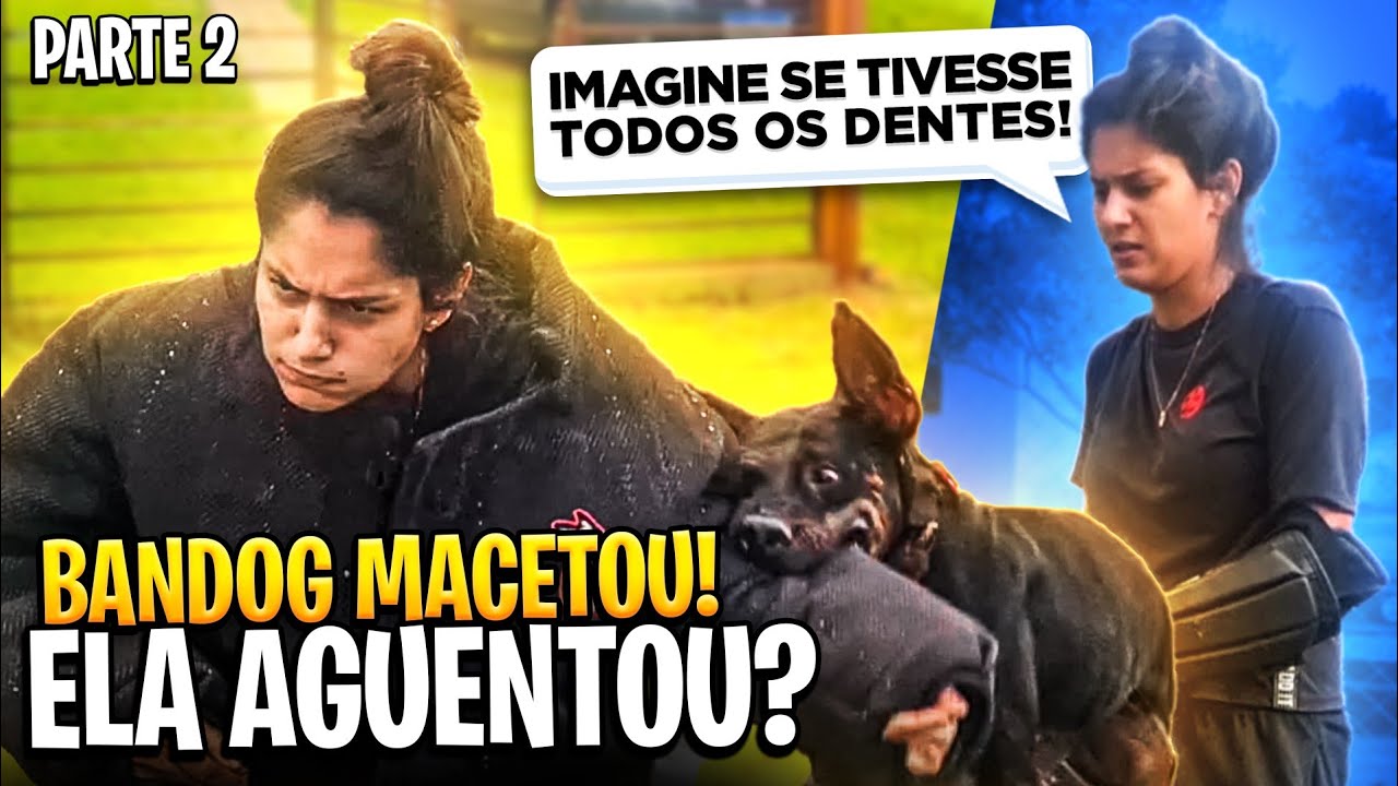 BANDOG AMASSOU! ELA AGUENTOU?