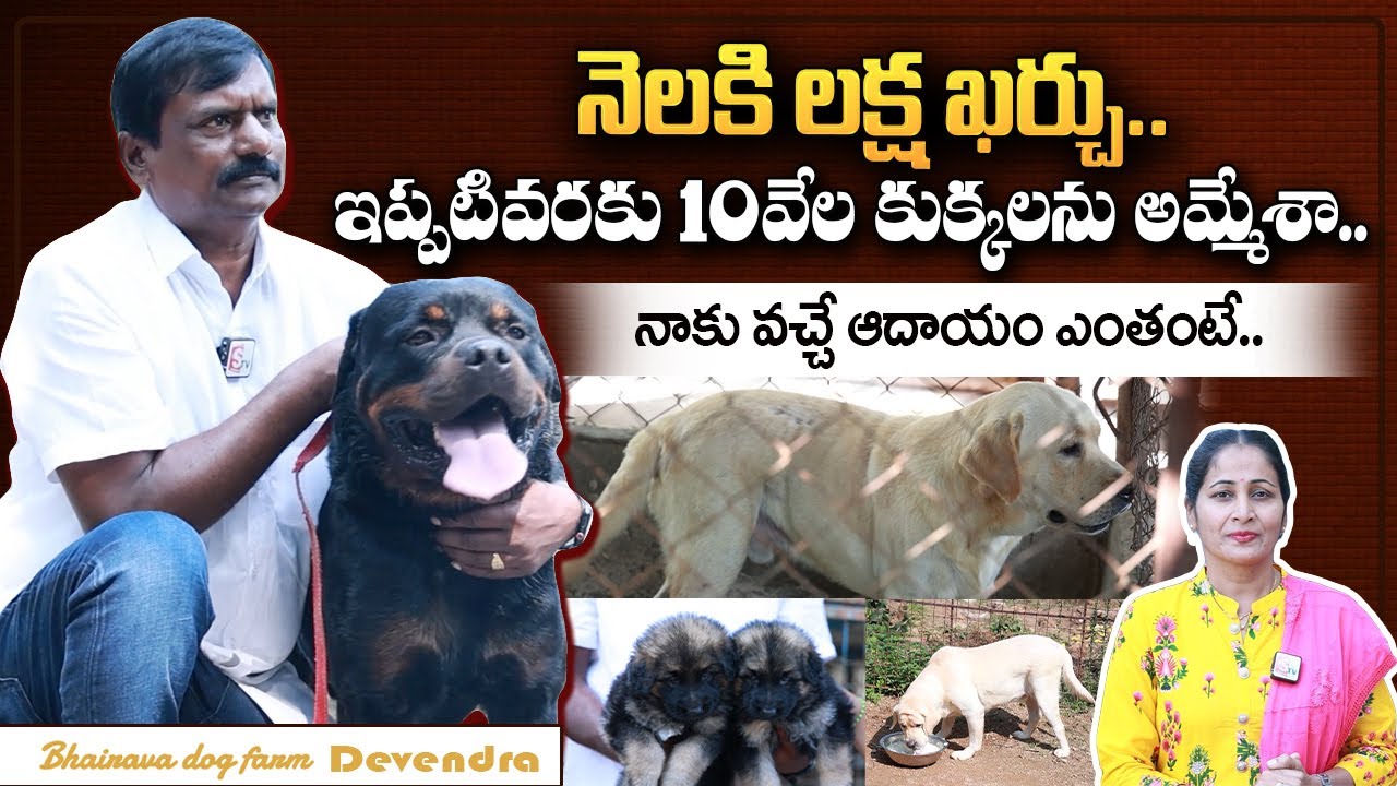 Bhairava Dog Farm House At Hanamkonda | Dog Breeding Centre | Dog Centers | @sumantvtelugulive
