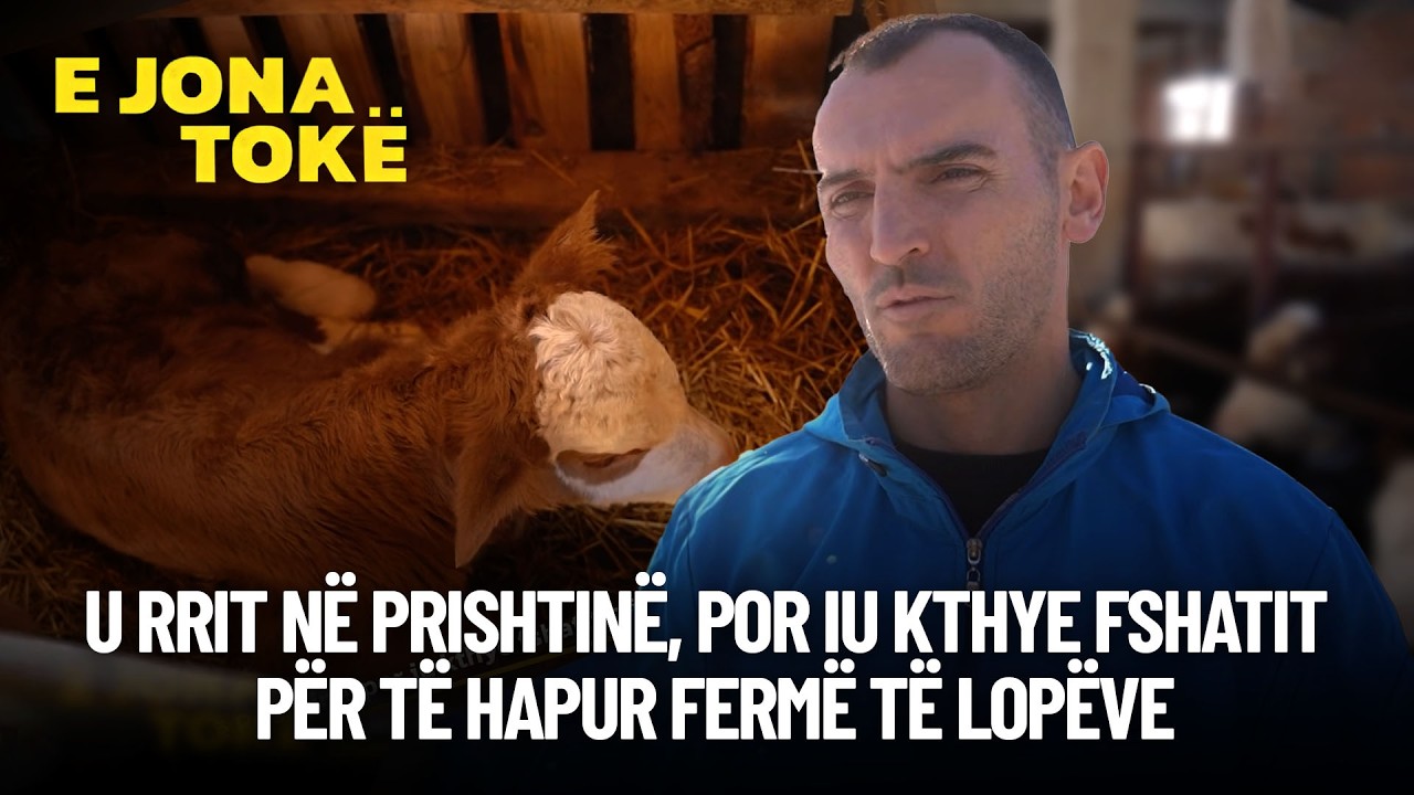 U rrit në Prishtinë, por iu kthye fshatit për të hapur fermë të lopëve