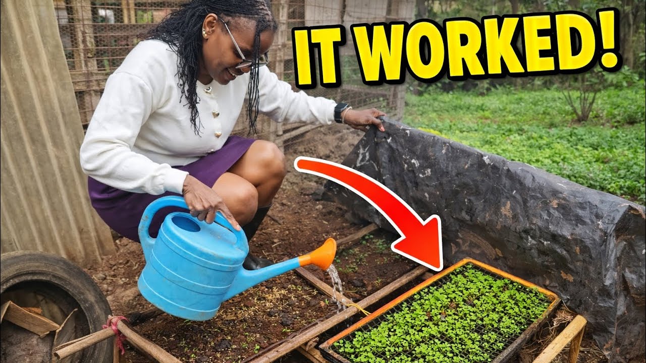 I failed😫…but I couldn’t let it end like this🌱