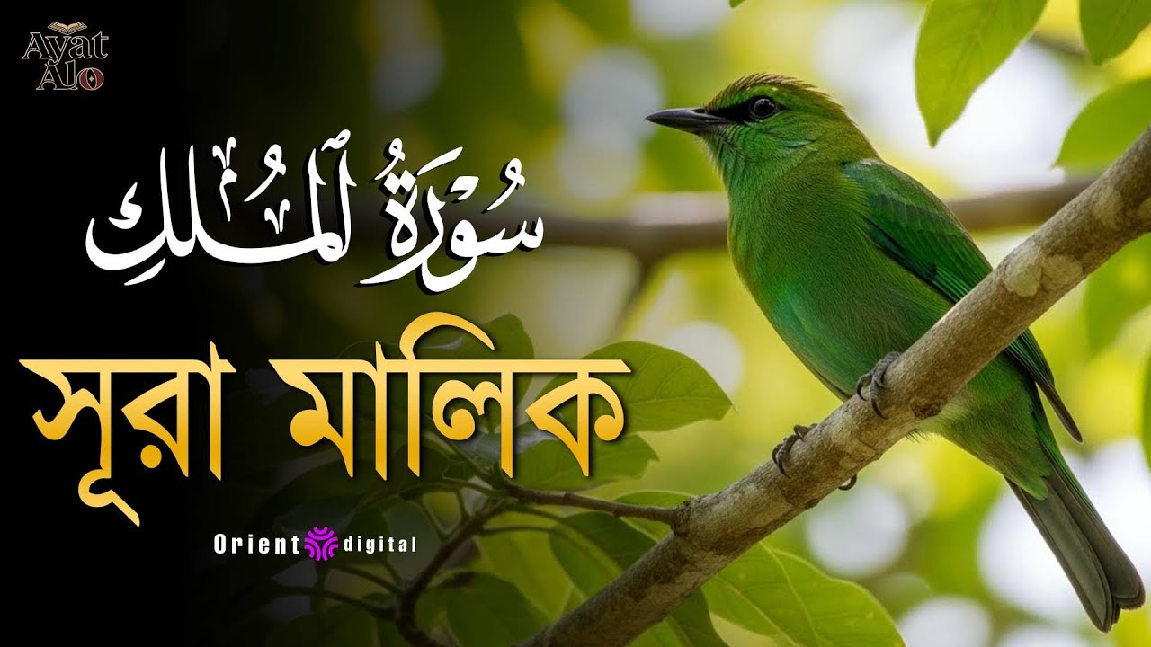 অন্তর কাঁপানো হৃদয়স্পর্শী কণ্ঠে সূরা মুলক (سورة الملك) | Surah Al-Mulk by Sheikh Ragab Al-Naggar