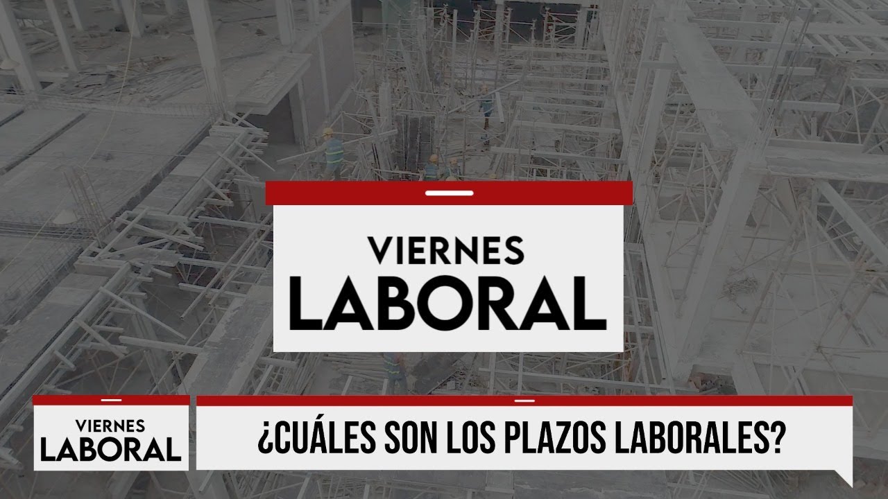 ¿Cuáles son los plazos laborales? | #ViernesLaboral con Diana Seminario