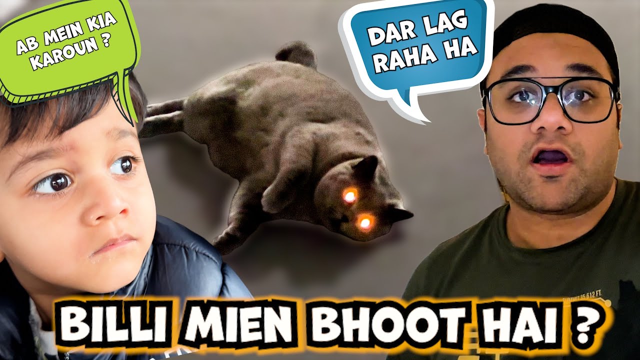 Is billi mein bhoot hai ? 💀😱 sab dar gaye hain 😟