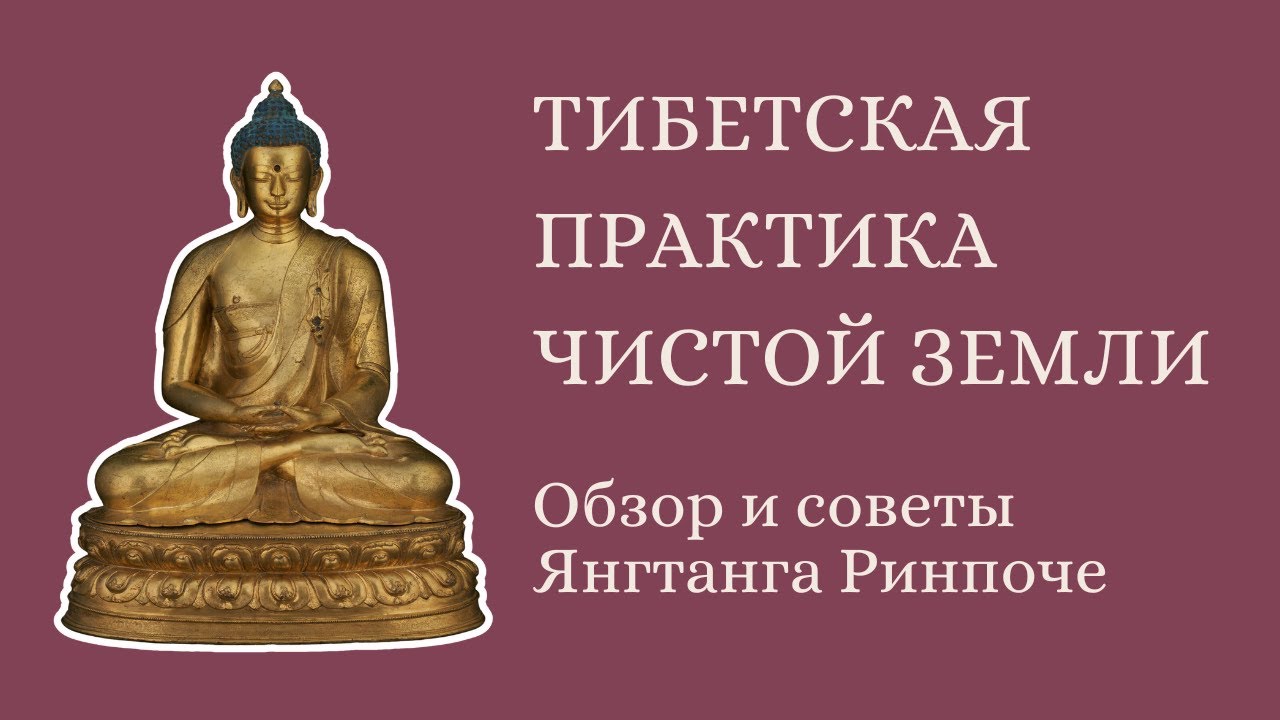Практика Чистых Земель: обзор и советы Янгтанга Ринпоче